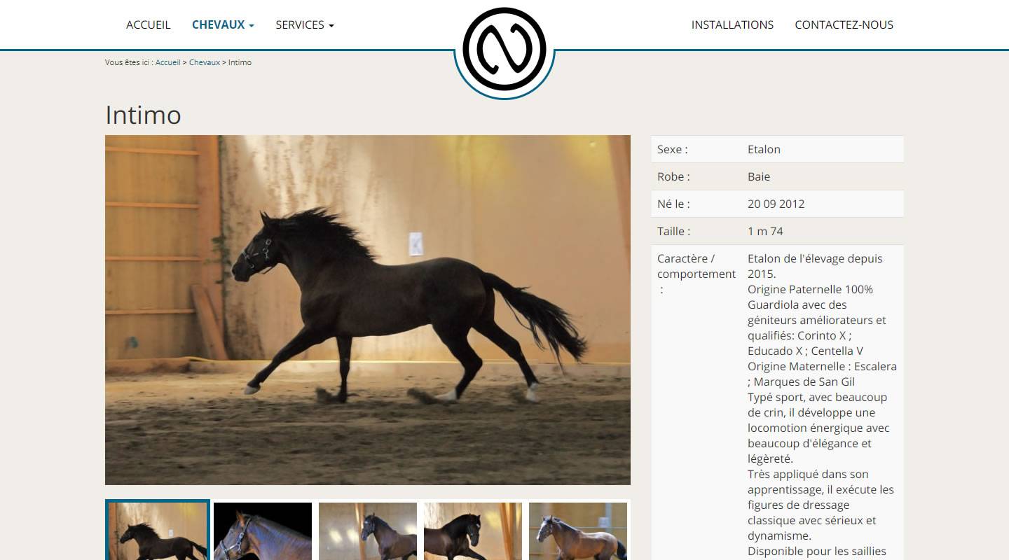Capture d'écran d'un site d'éleveur de chevaux